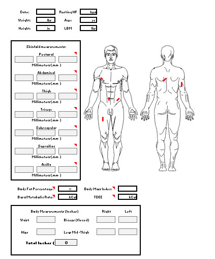 4 Site Body Fat Chart
